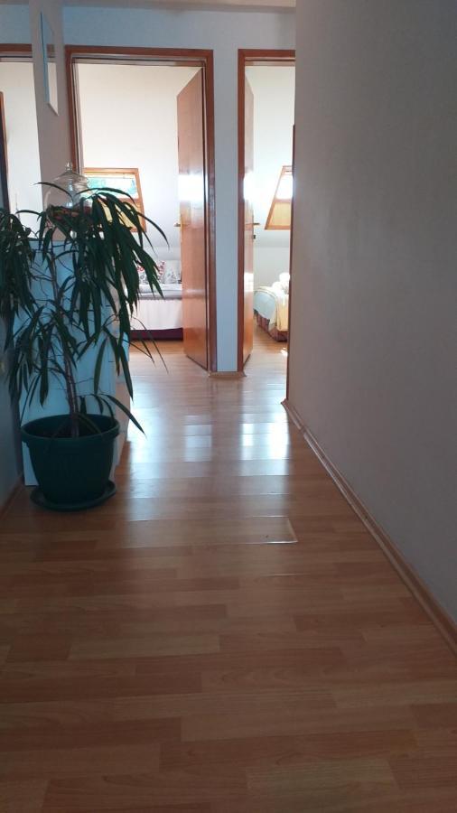 Apartmani "Zuka" 코츌라 외부 사진